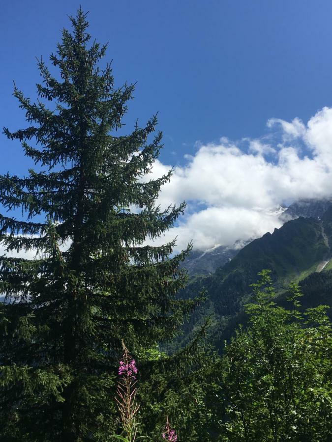 Les Pierres Blanches Mont Blanc Apartment Les Contamines-Montjoie Bagian luar foto