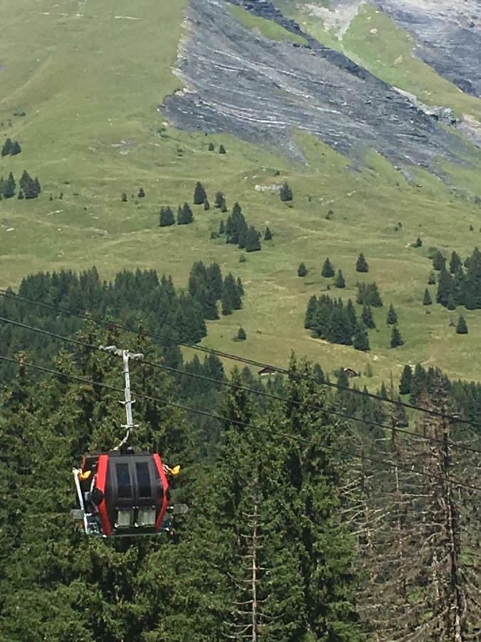 Les Pierres Blanches Mont Blanc Apartment Les Contamines-Montjoie Bagian luar foto